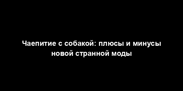 Чаепитие с собакой: плюсы и минусы новой странной моды