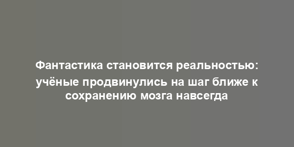 Фантастика становится реальностью: учёные продвинулись на шаг ближе к сохранению мозга навсегда