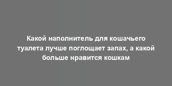 Какой наполнитель для кошачьего туалета лучше поглощает запах, а какой больше нравится кошкам